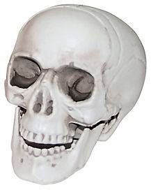 3 Inch Skull - Decorations