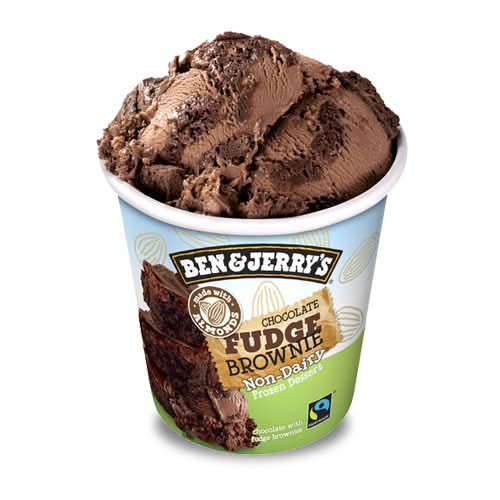 Carré au fudge non laitier Ben & Jerry's, 473 mL