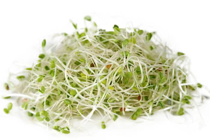 Genesis Sprouts Organic Broccoli Clover Sprouts