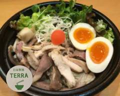 TERRA WORKS 自家製麺 テラ Jikaseimen TERRA
