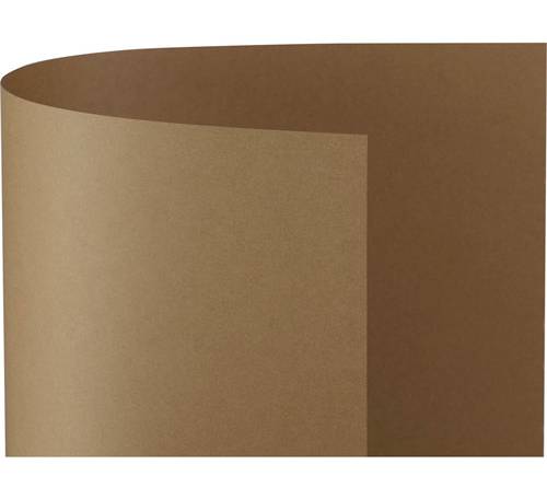 Color Print · Papel marrón (160 g)