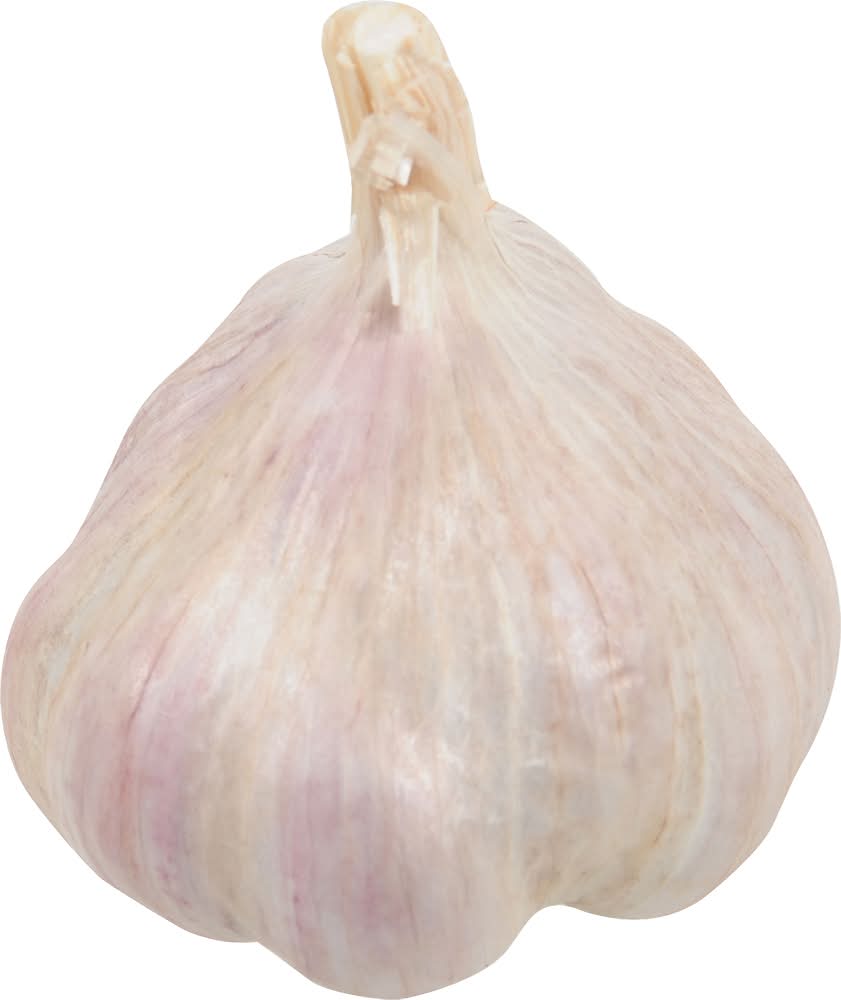Garlic