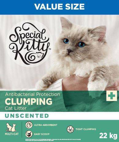 Special Kitty Unscented Clumping Cat Litter (22 kg)