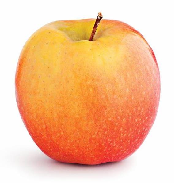 Pink Lady Apples