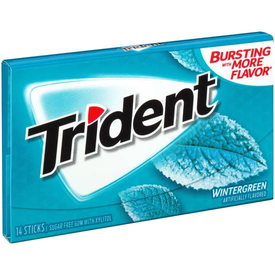 Trident Wintergreen Gum - 14 Pieces