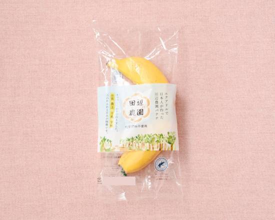 ◎田辺農園バナナ(1本入)【生鮮品】*