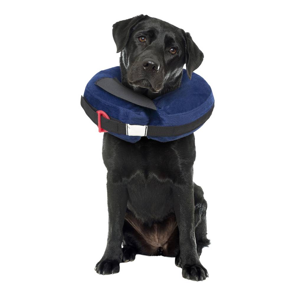 Calm Paws Inflatable Protective Collar, Medium