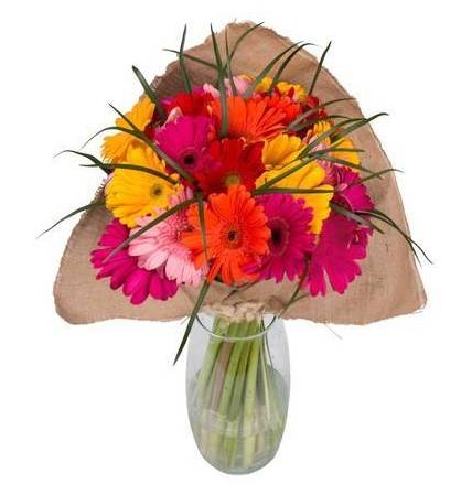 Gerbera Gorgeous Bouquet 6 Gerberas, Fillers And Vase