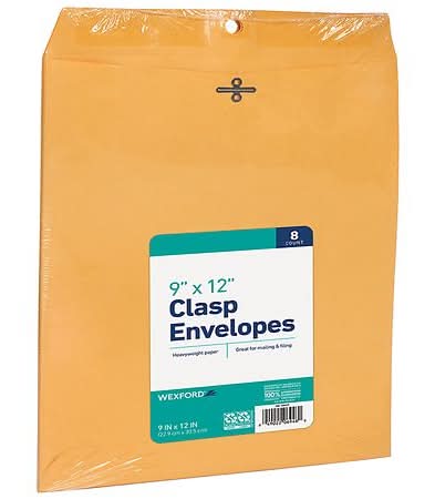 Wexford Kraft Clasp Envelopes, Brown (8 ct)