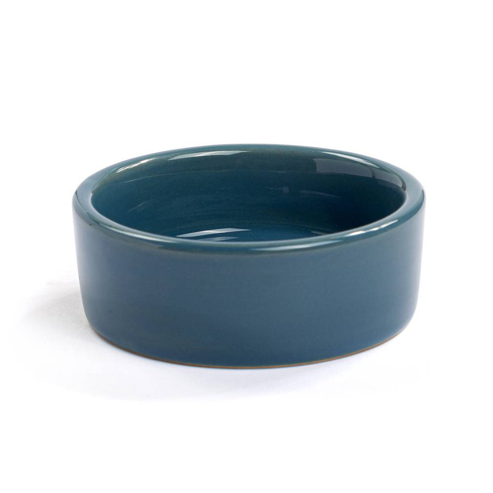 Imagitarium plato de cerámica azul reptiles (1 pieza)