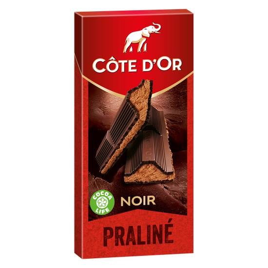 Côte d'Or - Praliné chocolat noir foureé au praliné noisettes