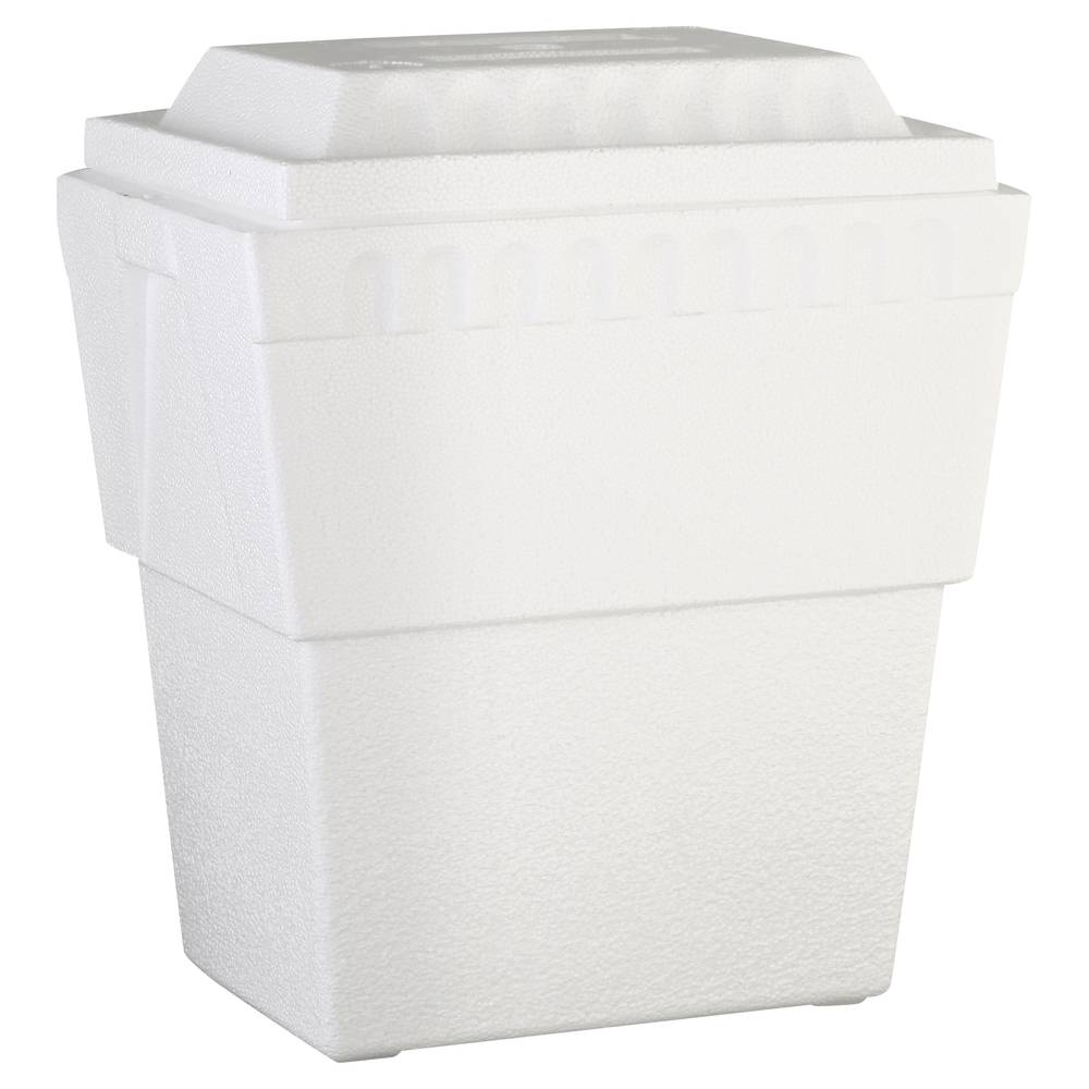 Lifoam White Cooler (1 ct)