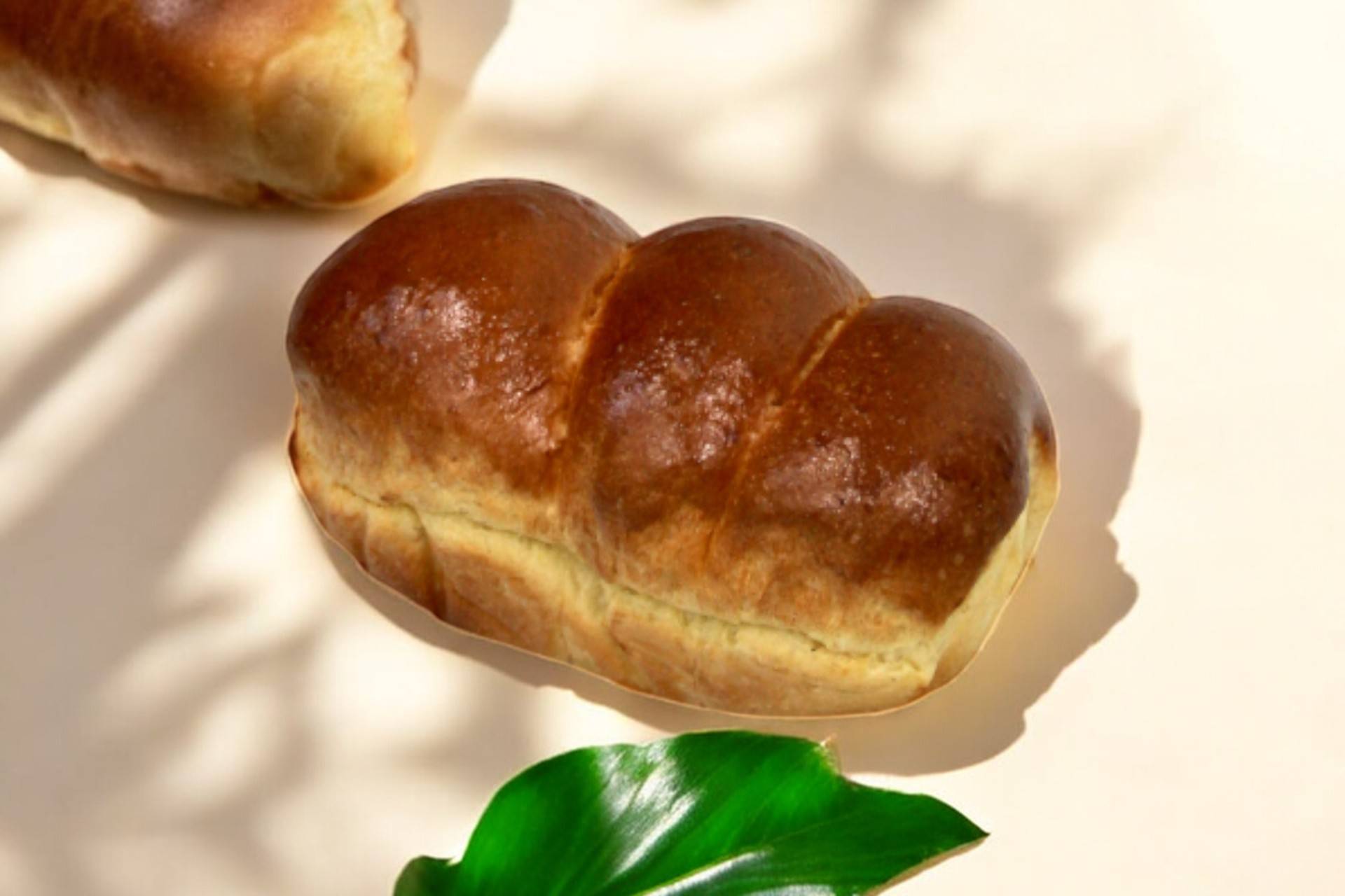 🥐Petite Brioche 🥖