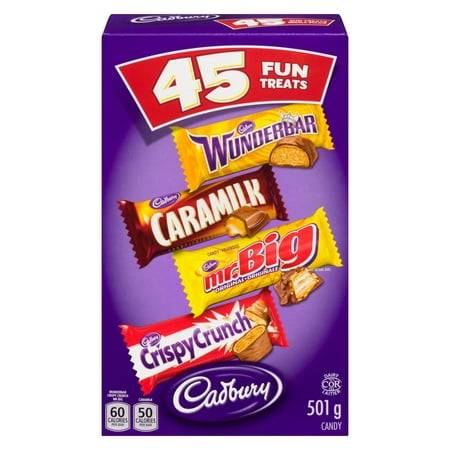 Cadbury Fun Treats Chocolate Bars Assortment (501 g)