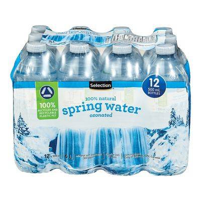 Selection Ozonated Natural Spring Water (12 x 500ml)