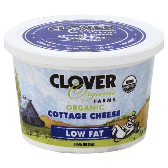 Clover Organic Cottage Cheese Low Fat 1.5% Milkfat (16 oz)