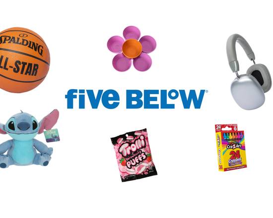 Five Below (13 Hampton House Rd)