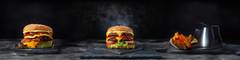 Twisted Topppings Burgers (1759 Technology Dr)