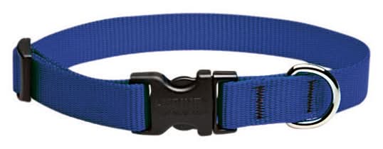Lupinepet Basic Solids Blue Blue Nylon Dog Adjustable Collar