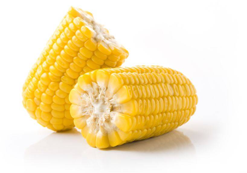 Sweet Corn