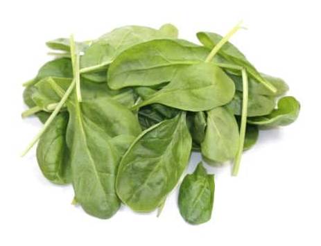 Jeunes pousses d'épinards (125g)