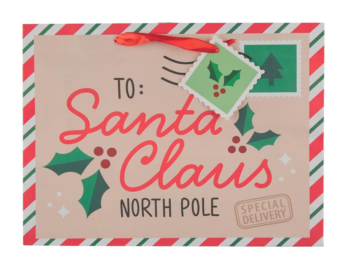 Christmas Horizontal Gift Bag Large Assorted