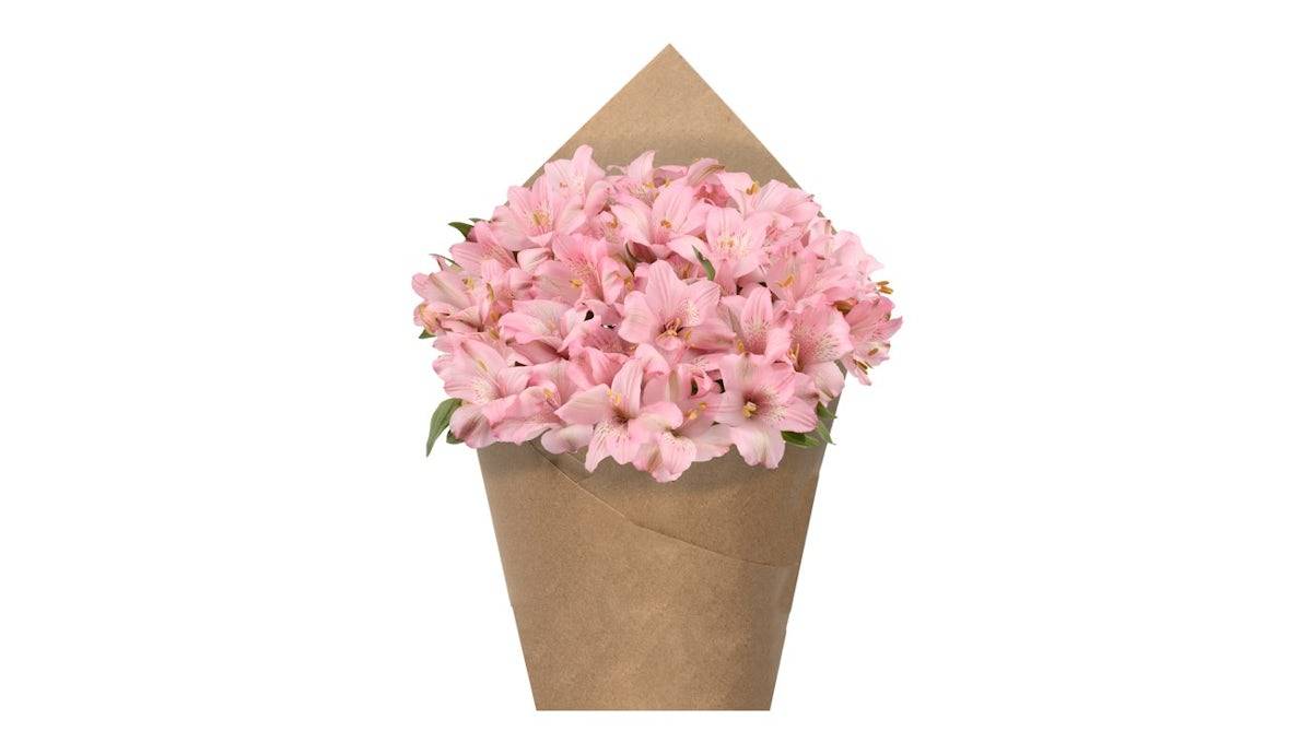 Alstroemeria Bunch - Light Pink, 6 stem