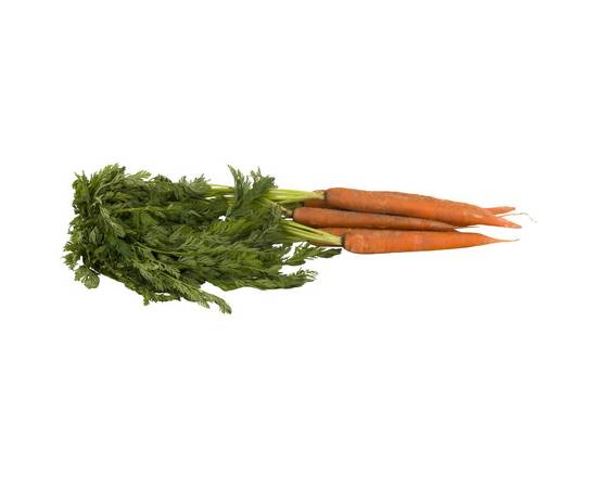 Organic Carrots (1 bunch)
