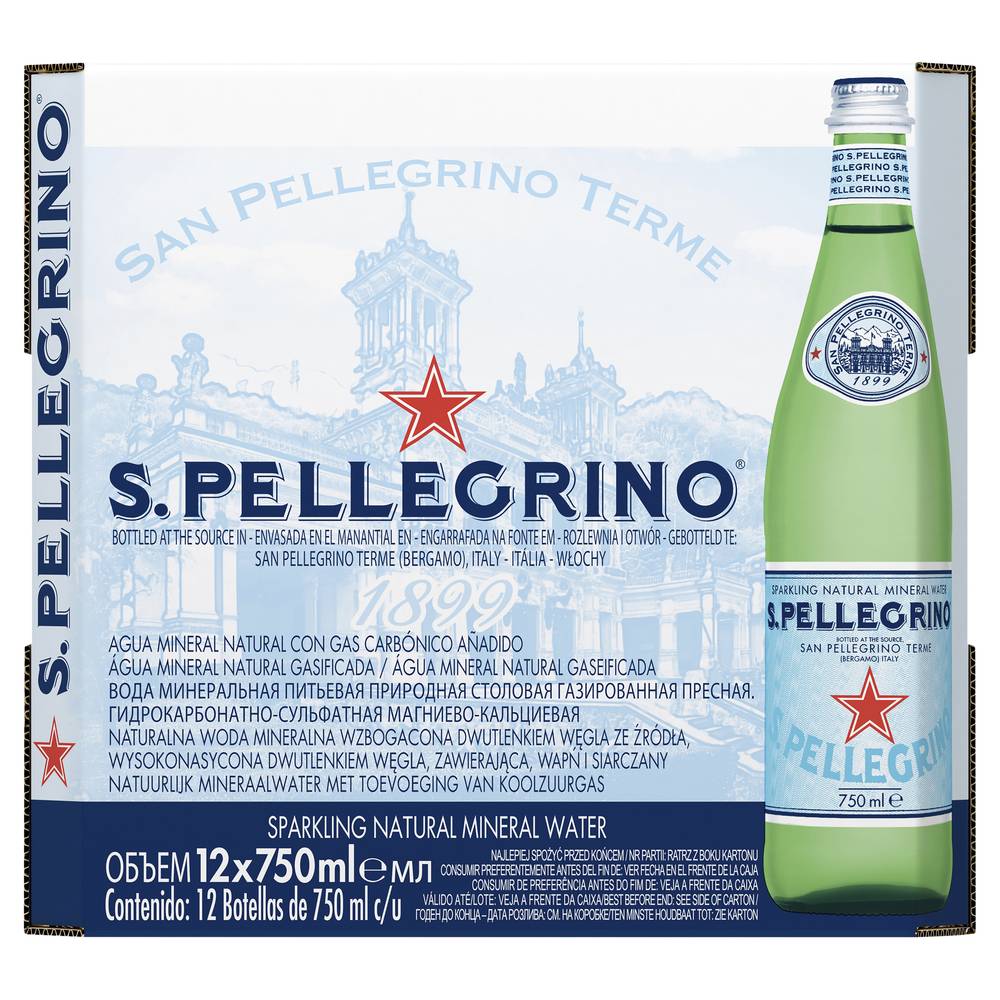 San Pellegrino Sparkling Mineral Water 750mL CTN12