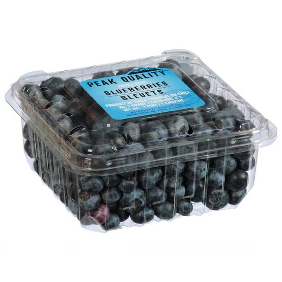 Peak Quality Fresh Blueberries