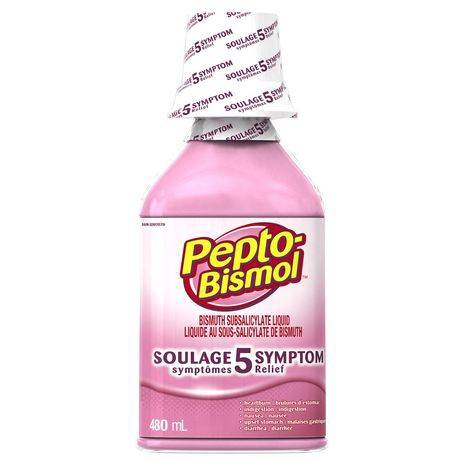 Pepto-Bismol Original Stomach Relief (480 ml)