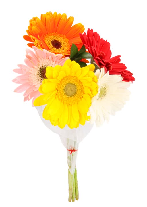 Floral Boutique · Bouquet gerbera (350 g)