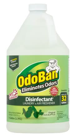 OdoBan Disinfectant Laundry & Air Freshener, Original Eucalyptus (3.79 L)