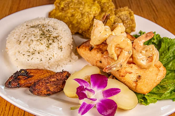 Salmon Camar