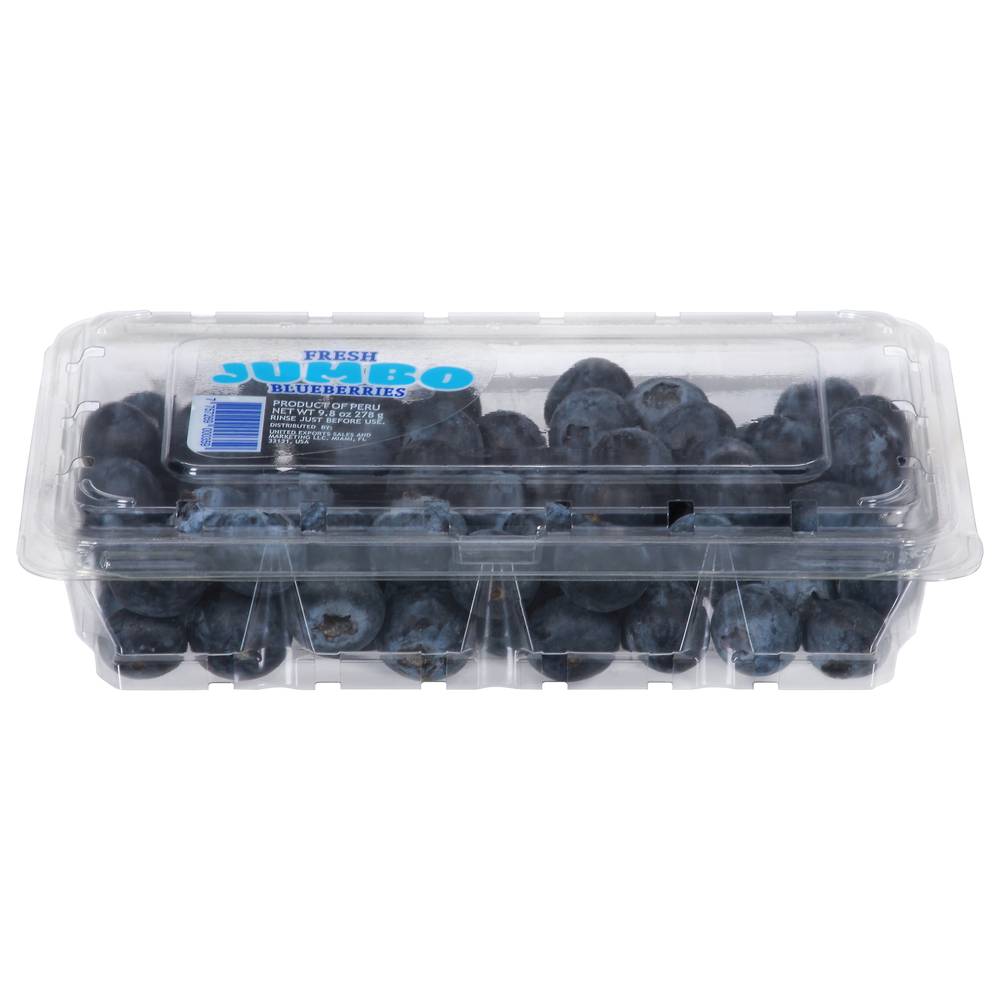 Family Tree Farms Jumbo Blueberries (9.8 oz)