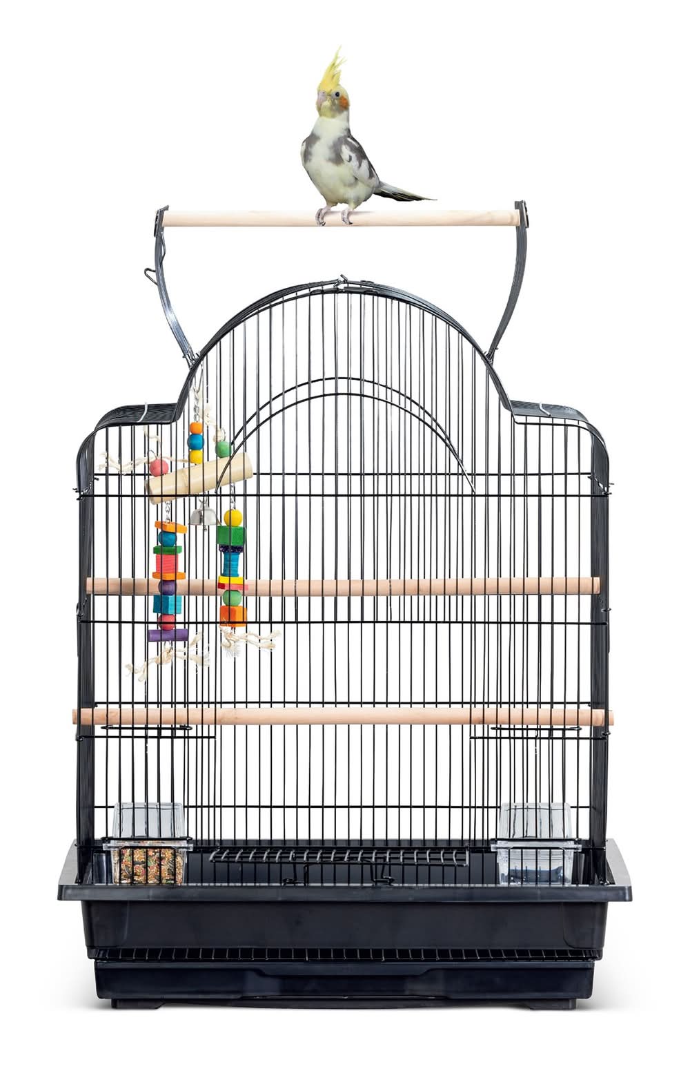 All Living Things® Open-Air Pet Bird Cage with Top Perch for Medium Birds (Size: 25.2\"L X 21.1\"W X 31.9\"H)