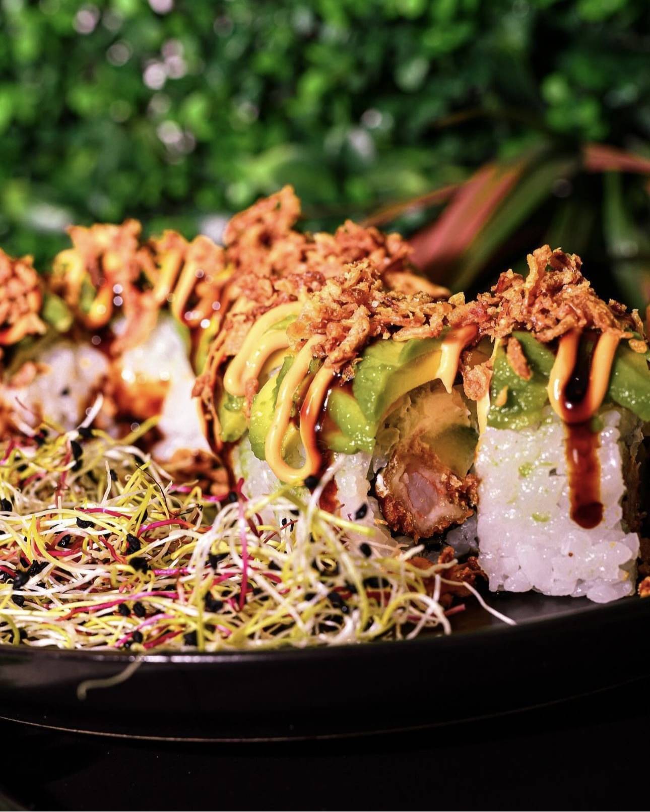 Dragon rolls