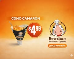 Vaco y Vaca (CCI)