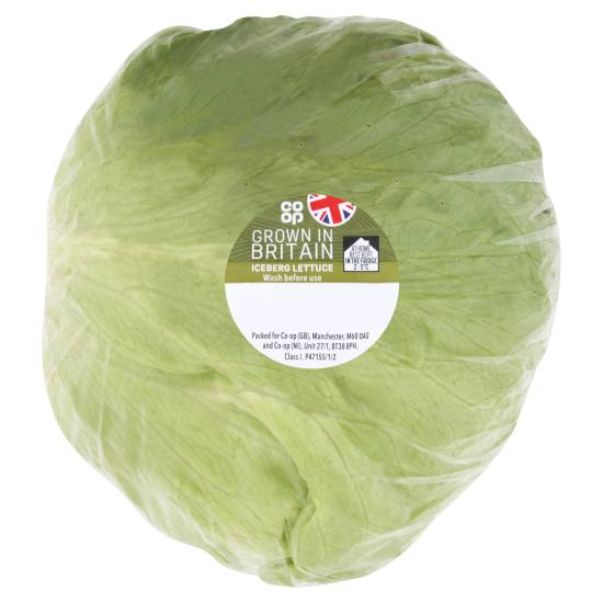 Co-op Iceberg Lettuce