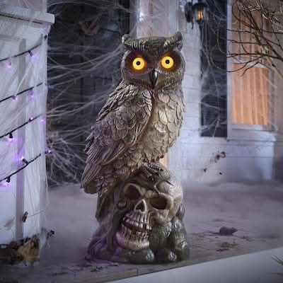 Home Accents Holiday Battery Operated Classics Led Owl and Skull
