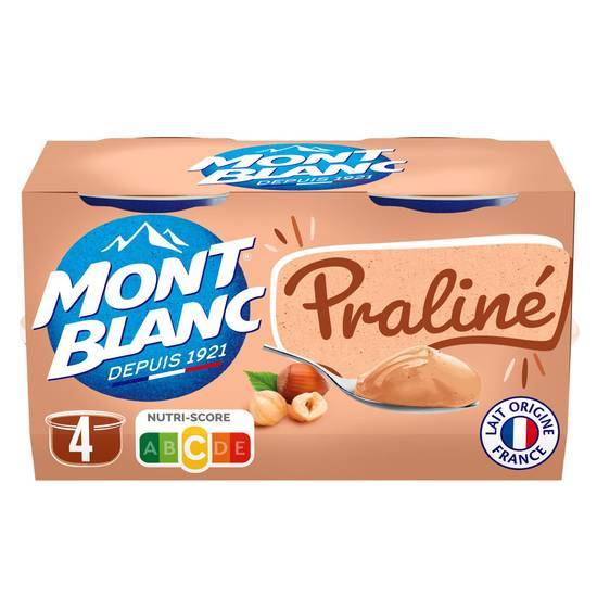 Mont Blanc - Crème dessert (4 pièces) (praliné)