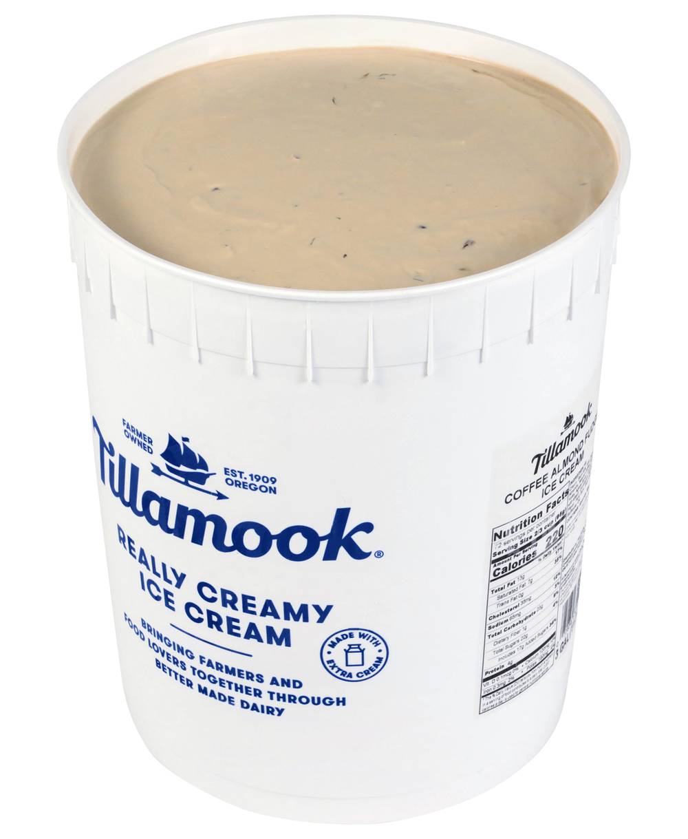 Tillamook Ice Cream, Coffee Almond Fudge (3 gal)
