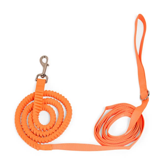 Youly Bungee Recall Training Dog Leash, 12' ft