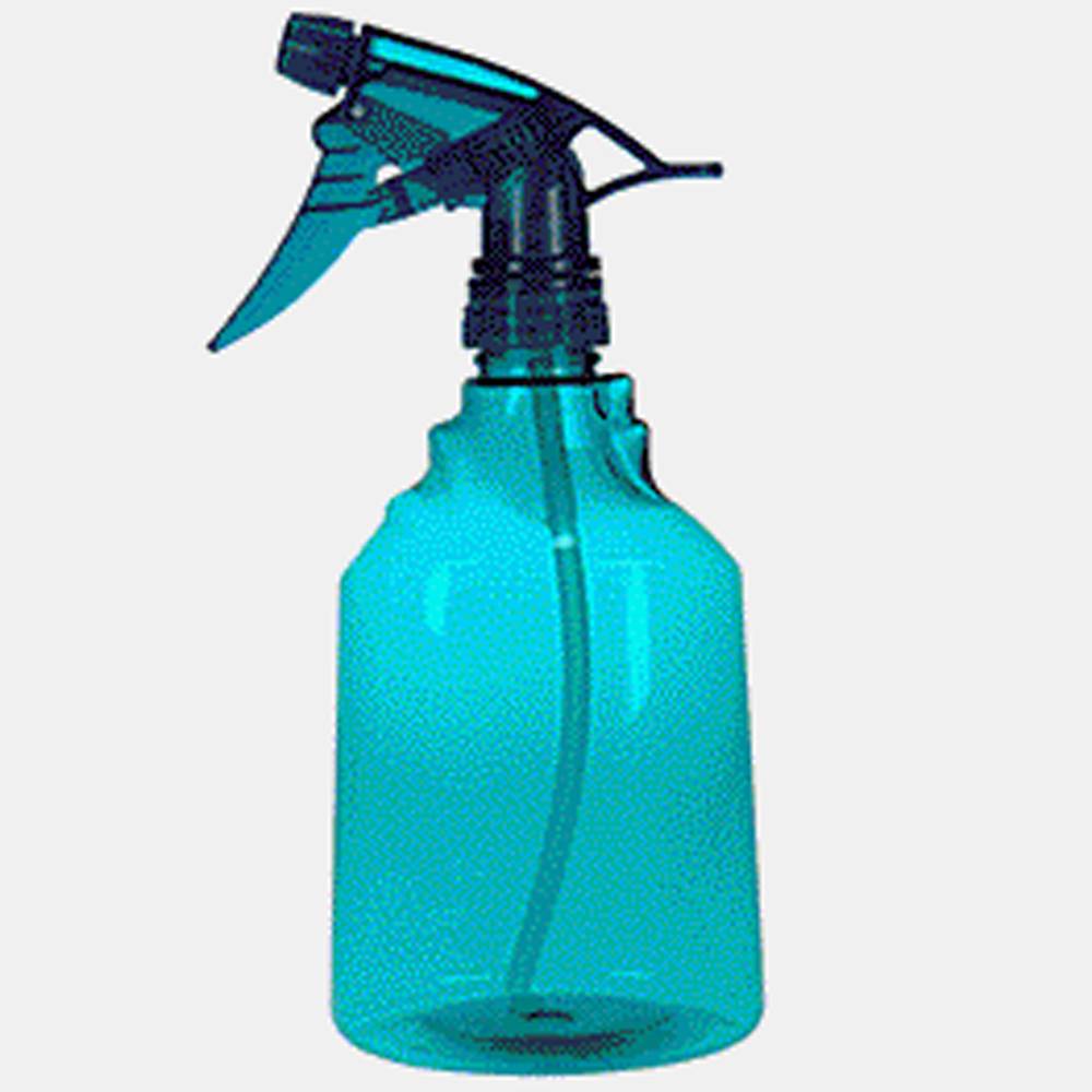 Spray Bottle (Assorted)