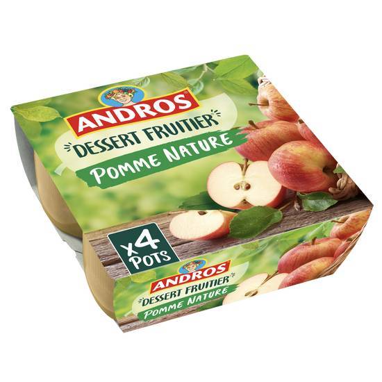 Dessert pomme nature - andros - 400g