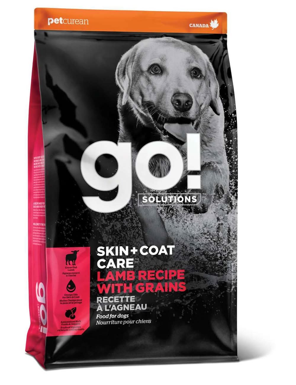 Go! Solutions Skin + Coat Care Lamb With Grains Recipe Dog Food, 12 lb