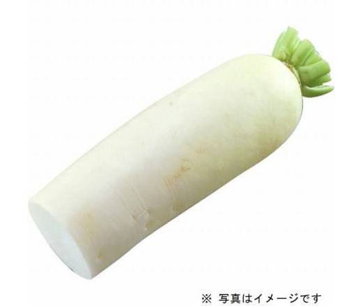 だいこん（1カット・半割）