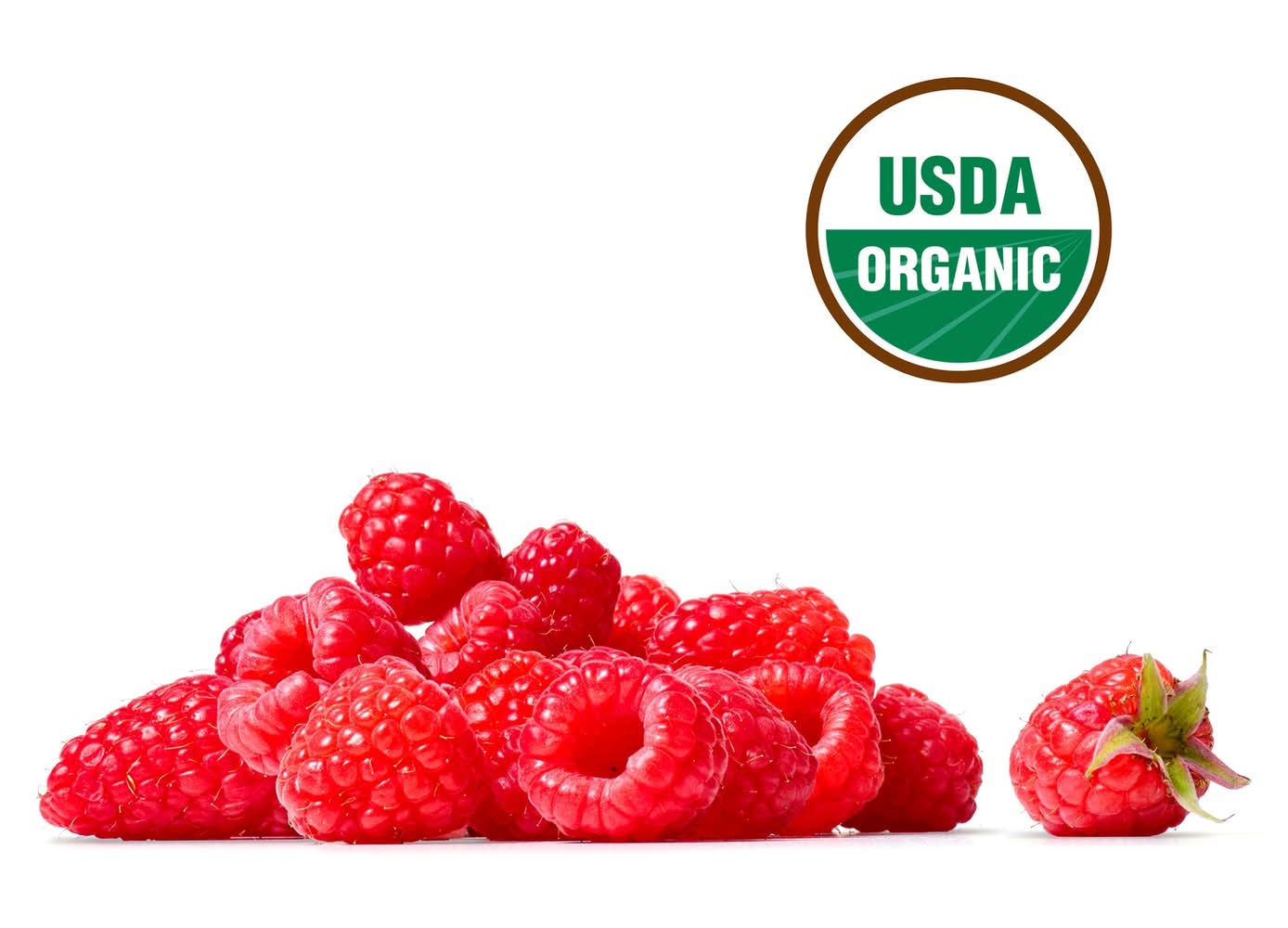 Fresh Organic Red Raspberries - 6 OZ Clamshell