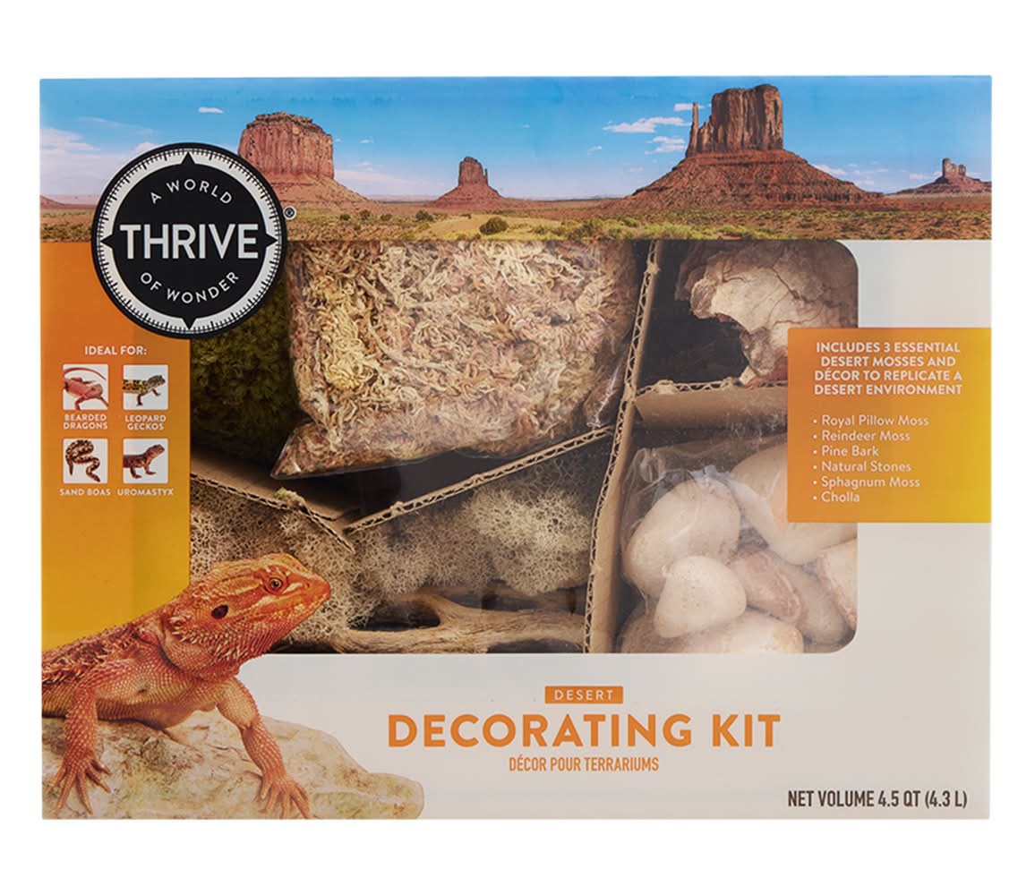 Thrive™ Desert Cholla Decorating Kit (Size: 3 Count)
