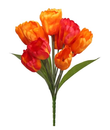 19" Tulip Bush By Ashland